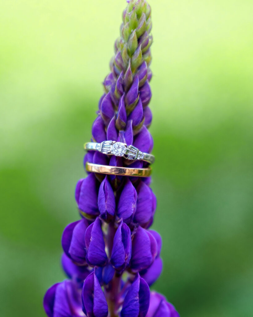 Your guide to a Lake Tekapo couples photoshoot — find the most scenic lupin fields, perfect timing, and tips for stunning, love-filled photos.
